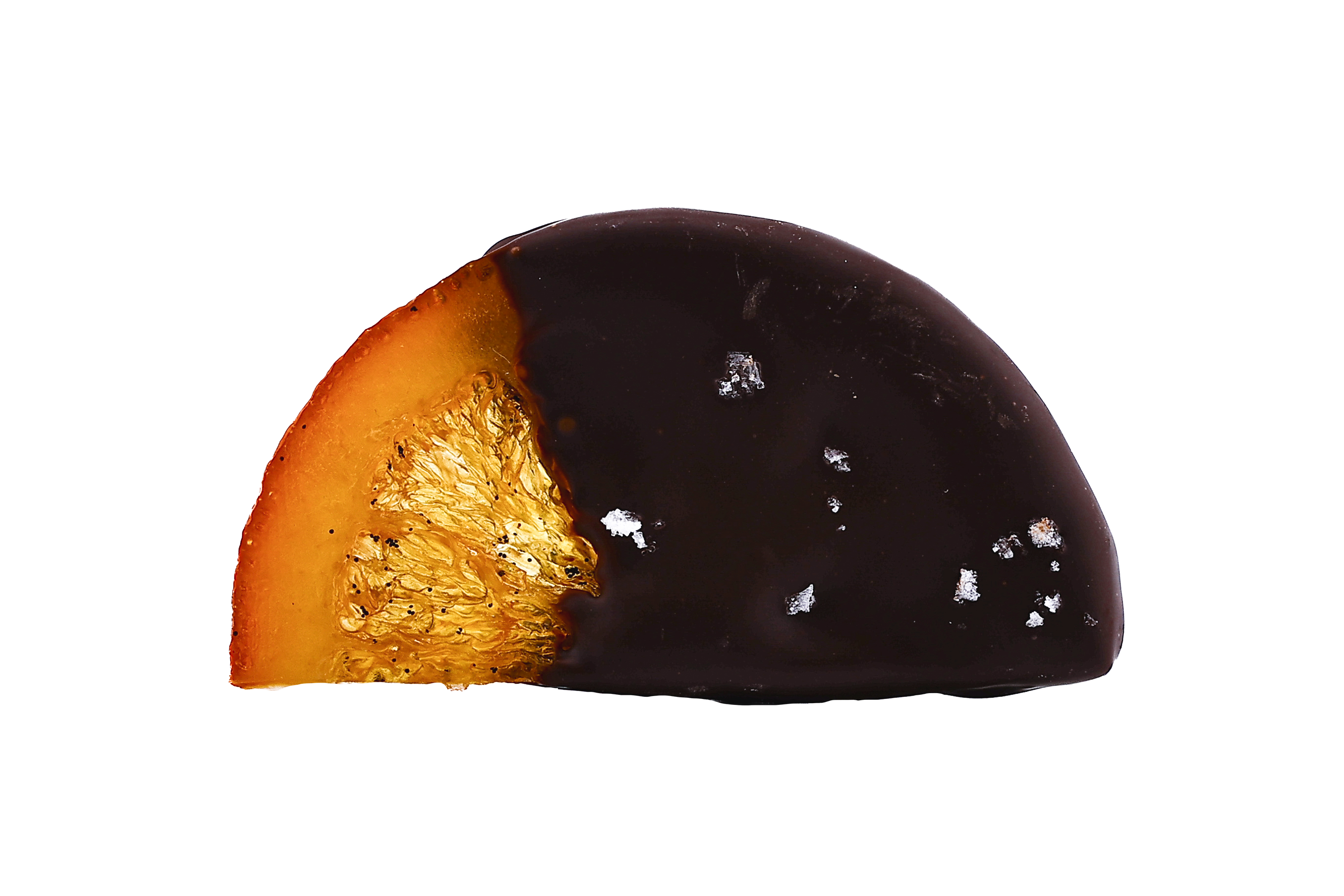Chocolate Covered Candied Orange